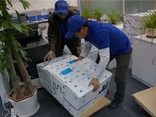 惠州裝卸搬運工與倉儲服務 高效物流的核心支撐